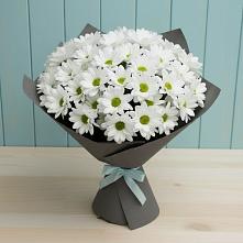 Букет белые хризантемы в Афипском Букет цветов из:  Хризантемы в Афипском